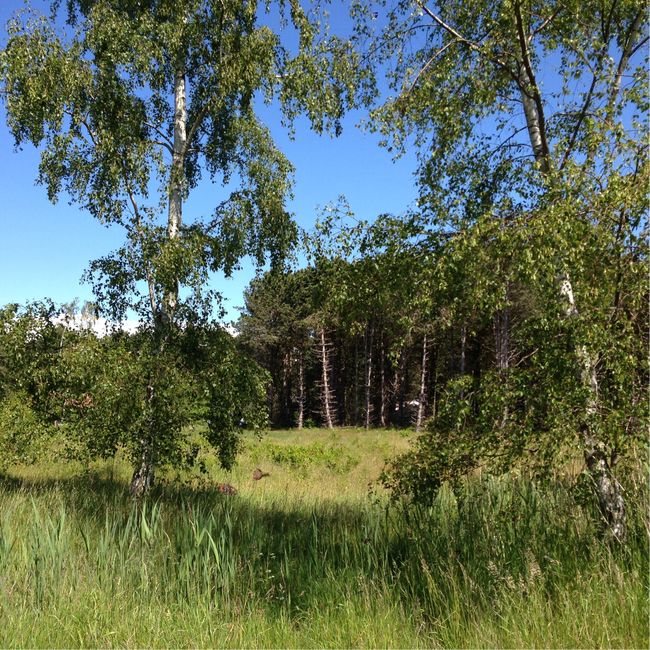 Sivsangervej 25, Saksfjed Ø, 4970 Rødby
